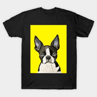 Boston terrier on a yellow background T-Shirt